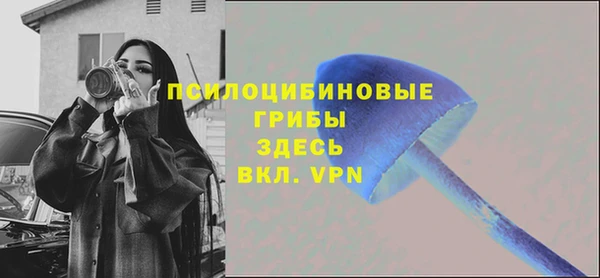 спайс Алексин