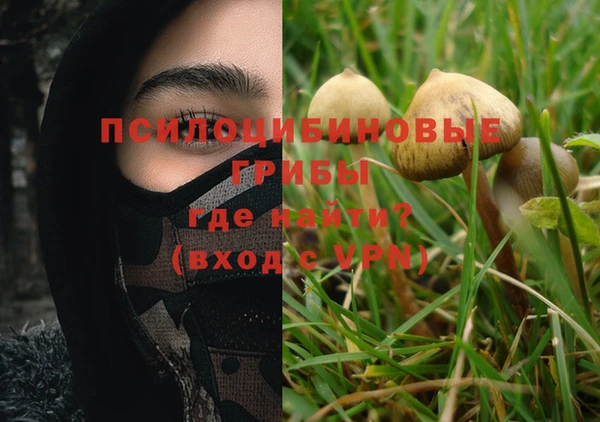 дмт Алзамай