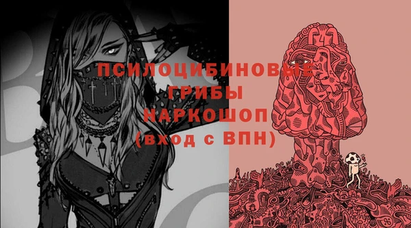 apvp Гусиноозёрск
