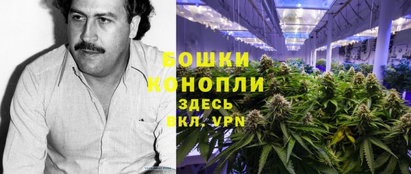 дмт Алзамай