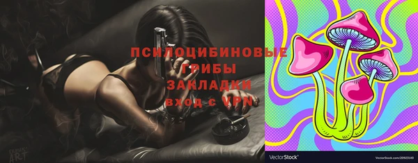 спайс Алексин