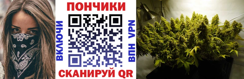 цены наркотик Пошехонье Канабис конопля